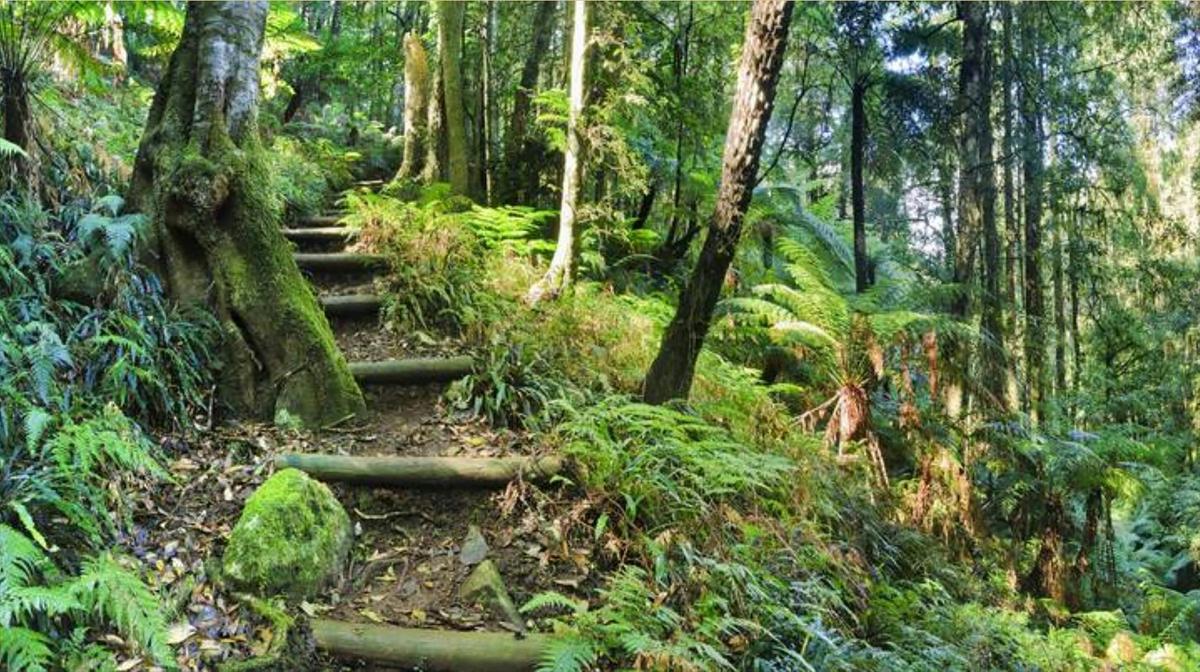 blue mountain walk 7