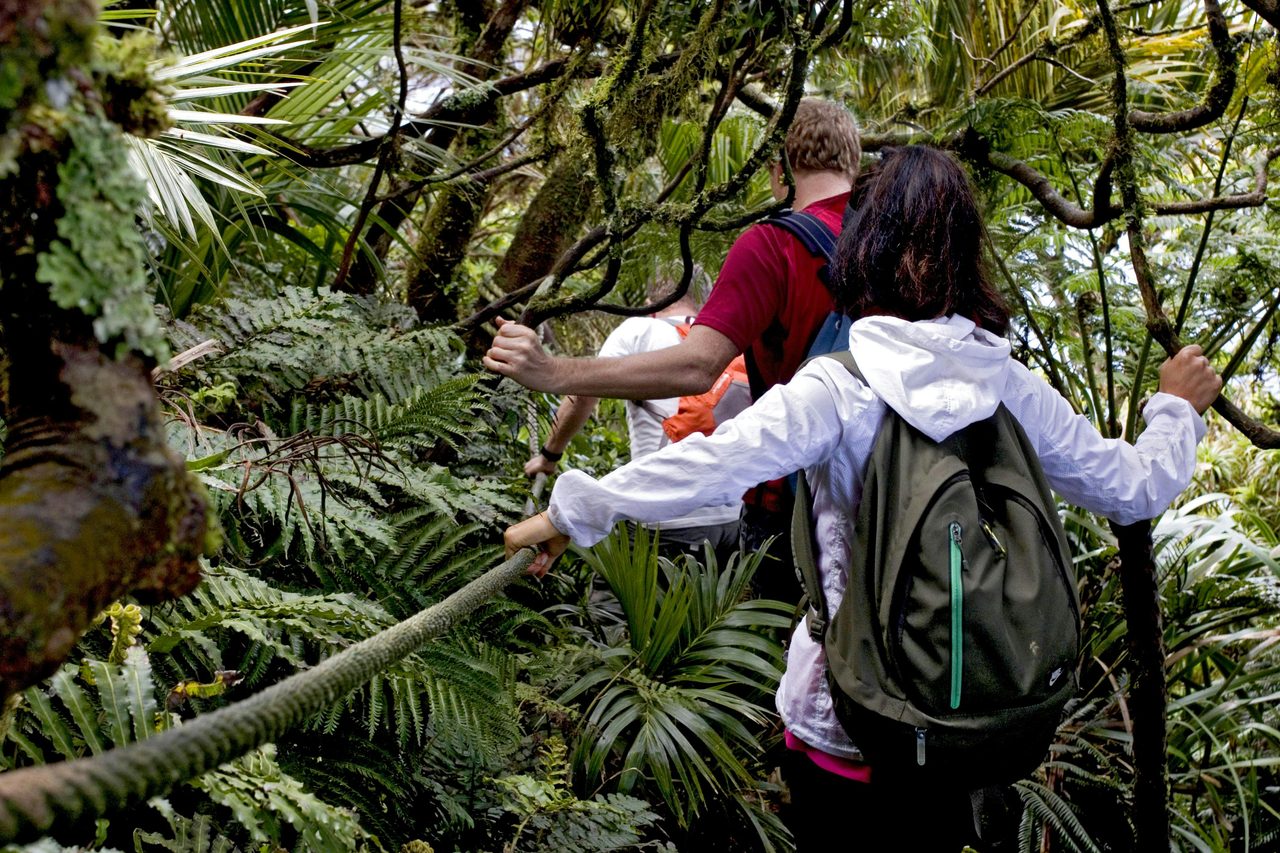 Auswalk Walking Holidays