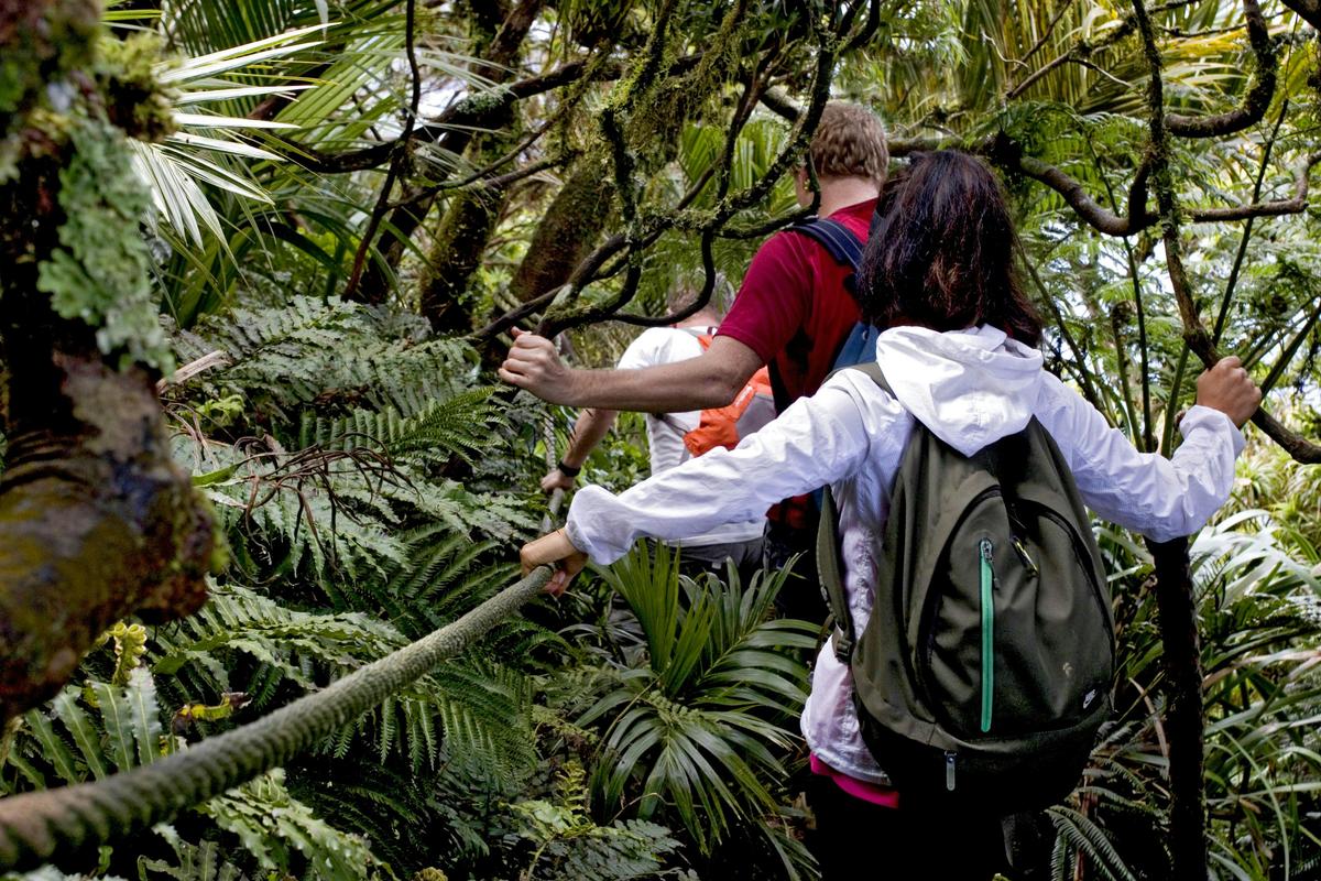 Auswalk Walking Holidays