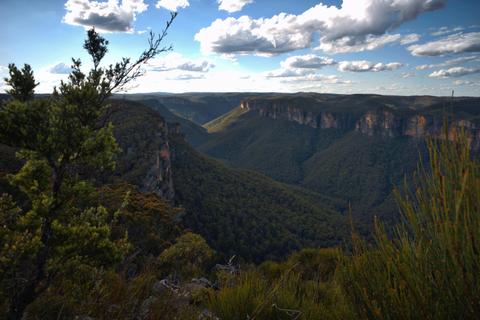 Blue Mountains