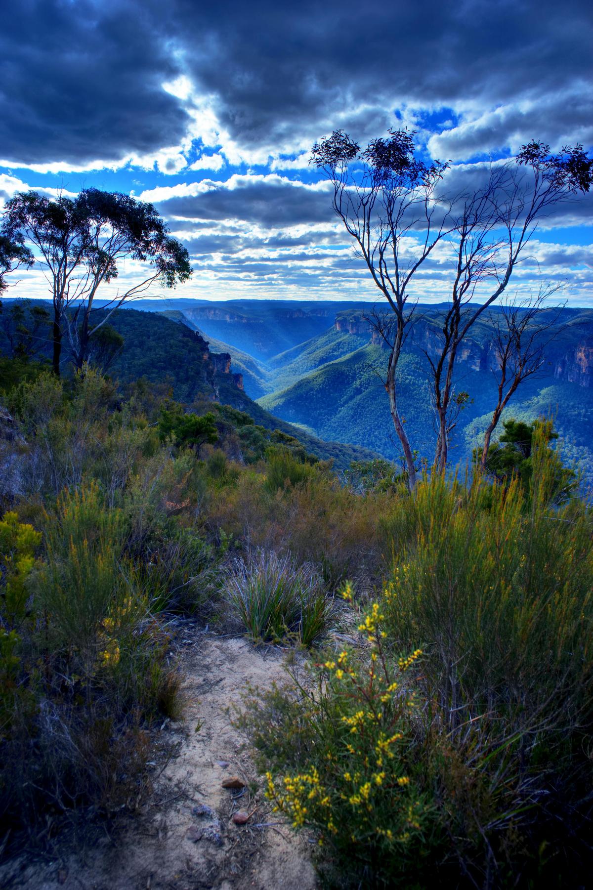 Blue Mountains