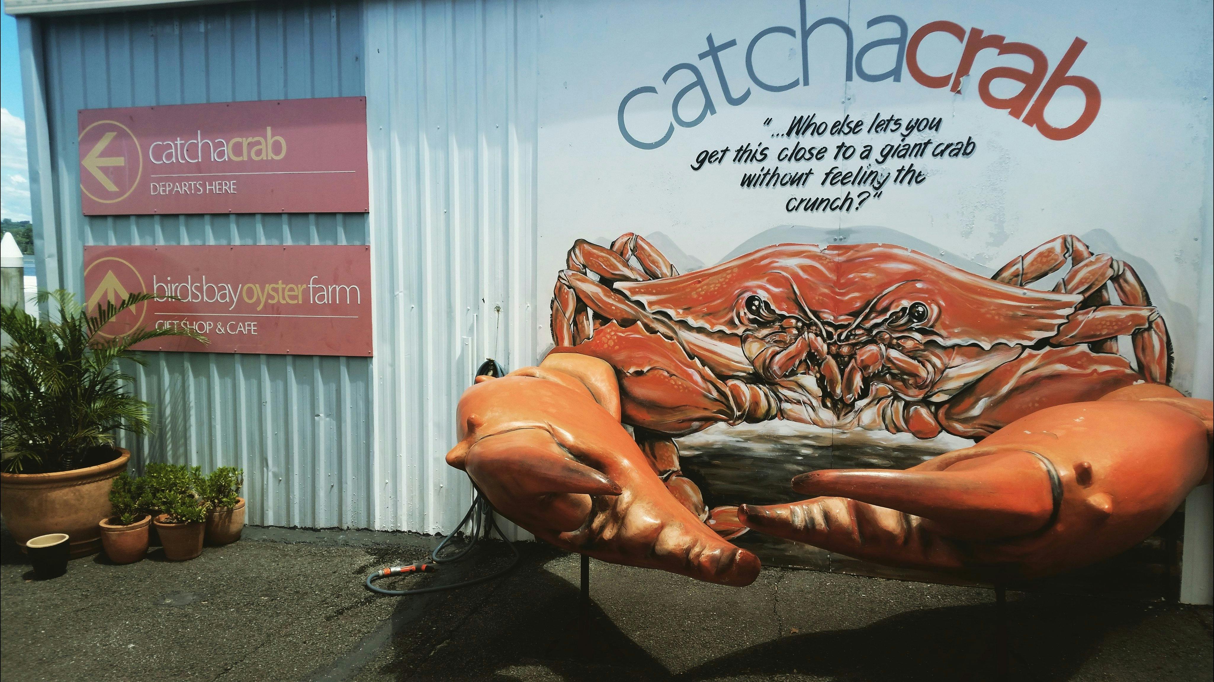 Get up close and personal with a giant crab