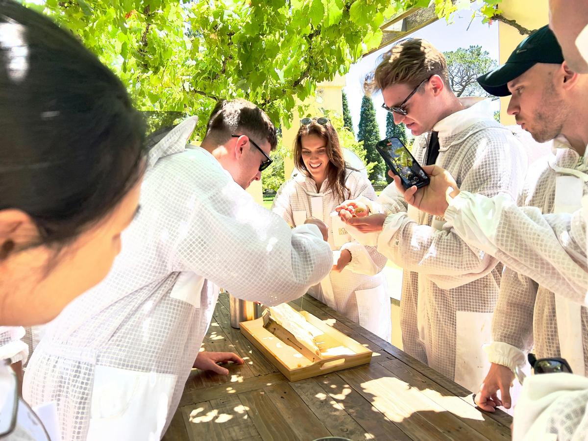 Tasting a frame of honey