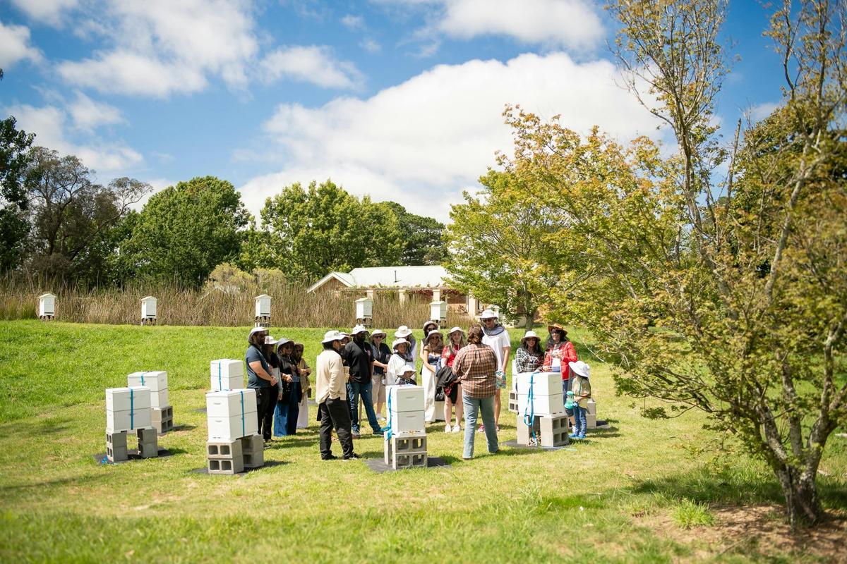 Tour group amongst the hives