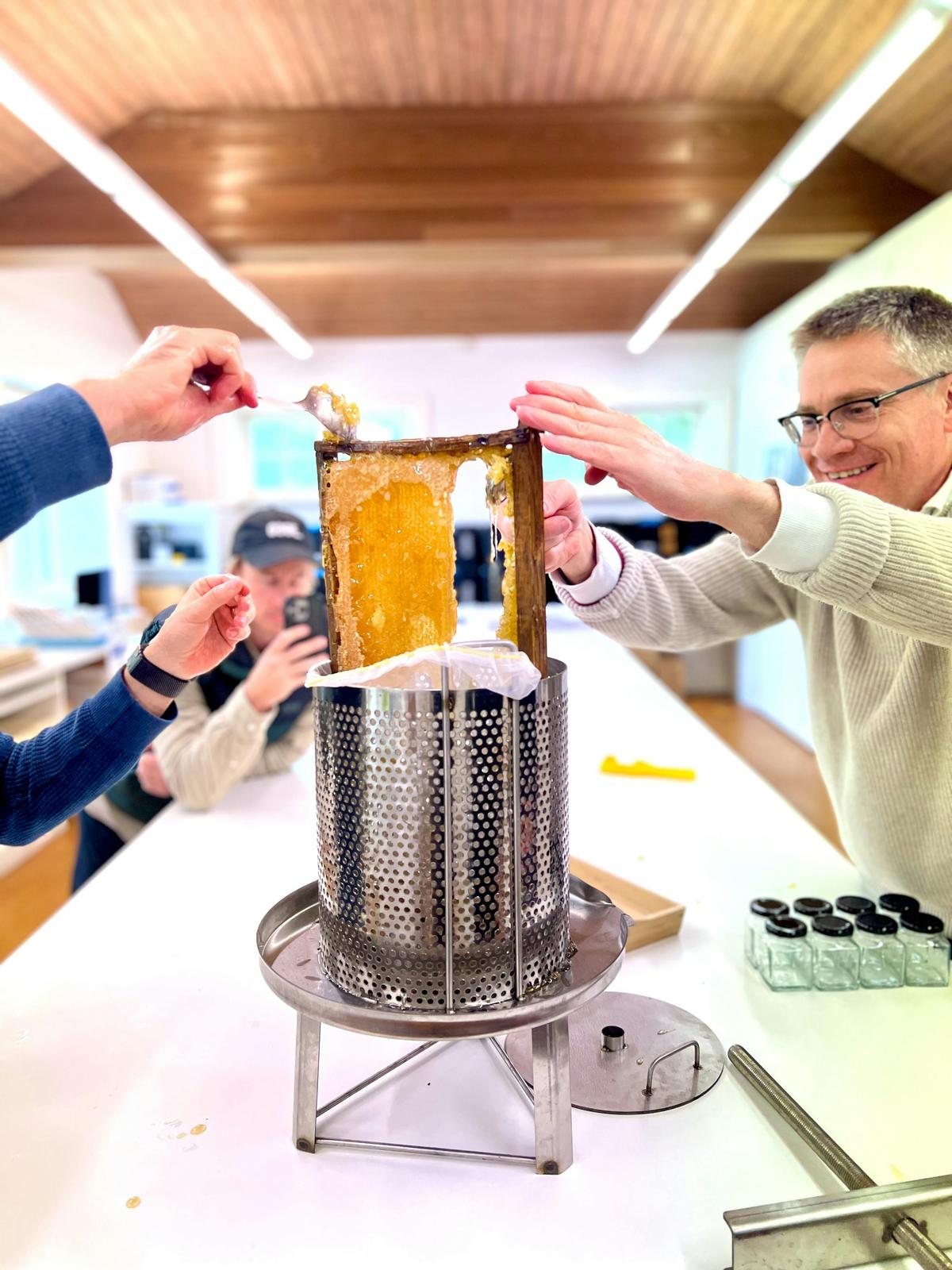 Crushing a frame of honey.