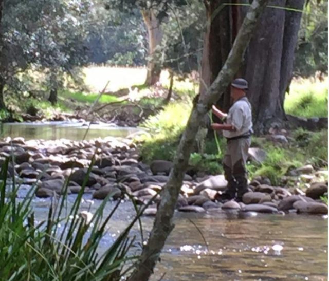 Capt Baldy Fly Fishing
