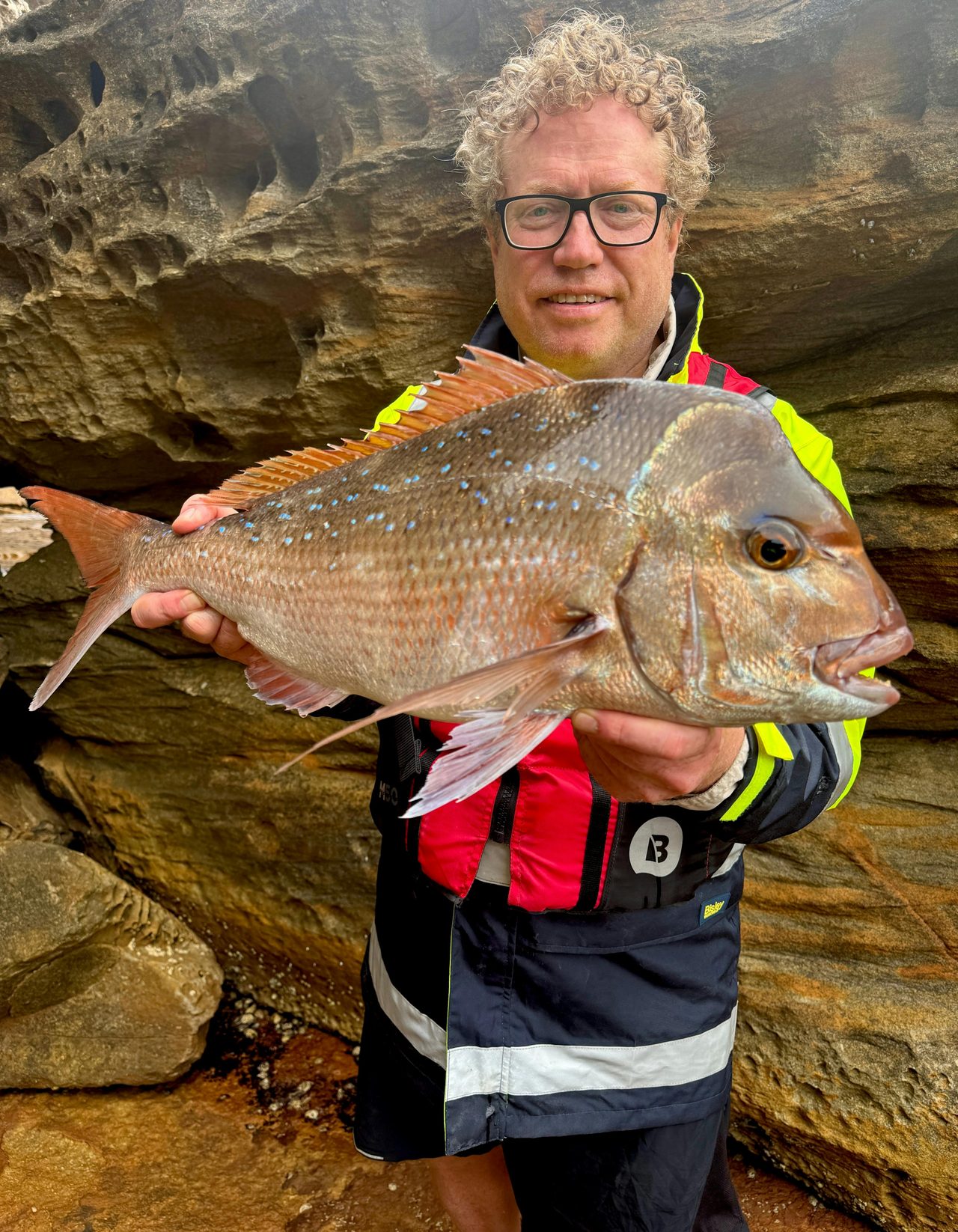 Snapper