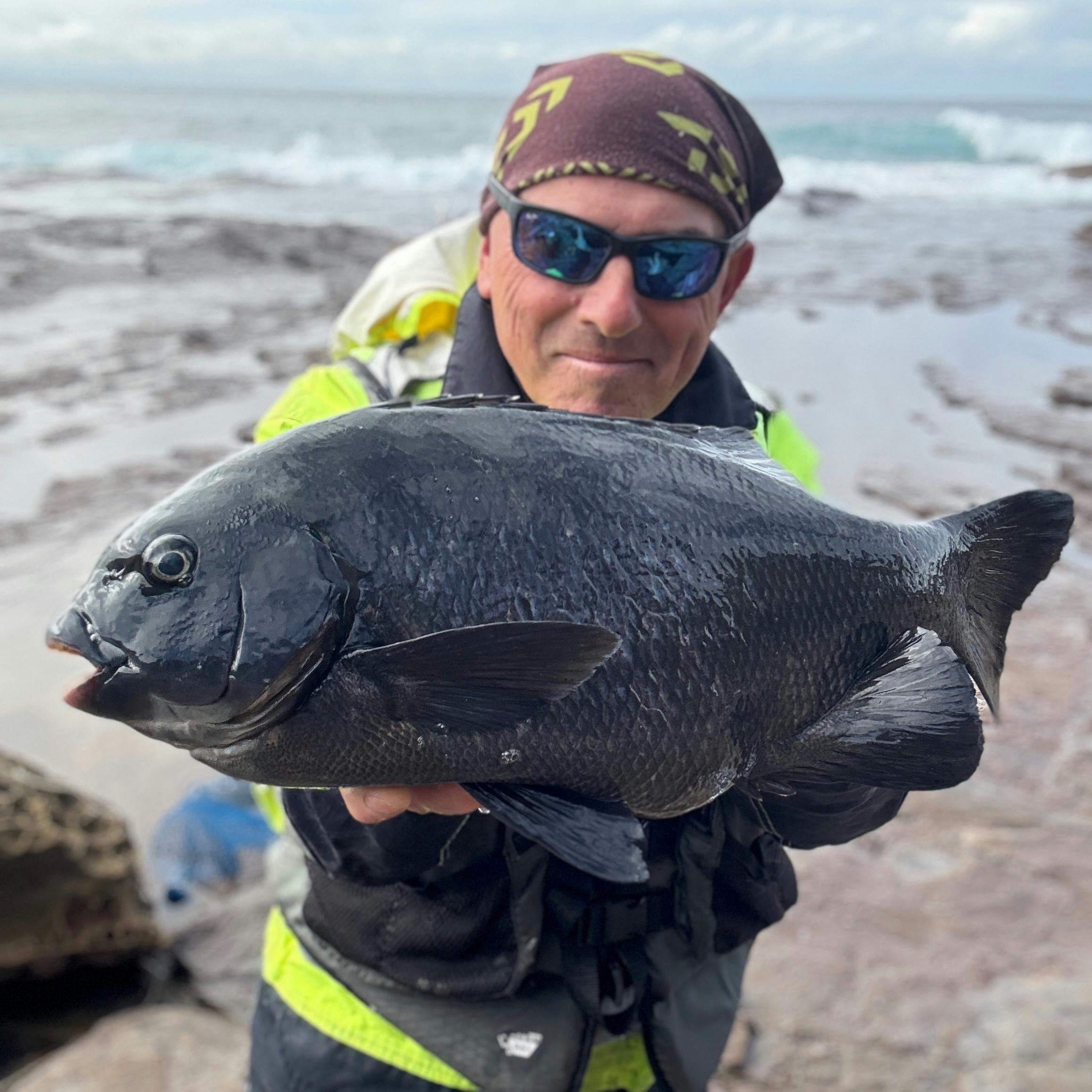 The bull dozer of the rocks!