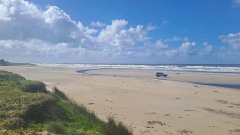 10 Mile Beach and Bungawalbin State Forest Day Tour