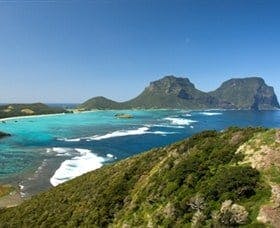 Catch N Thyme Bus Tours