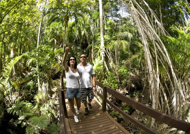 Chase 'n' Thyme Bus Tours