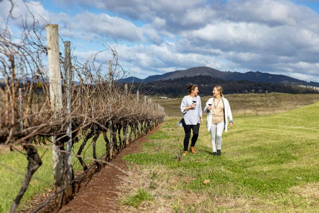 Hunter Valley Scenic Wine Tour with Lunch - from Sydney