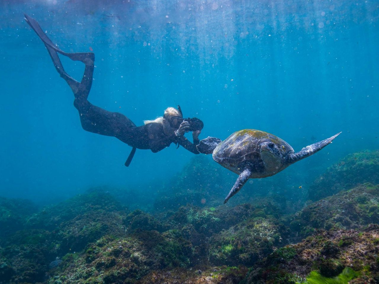 Getting the shot. Marine biologist and snorkel guide Blaise, enjoying some time underwater.