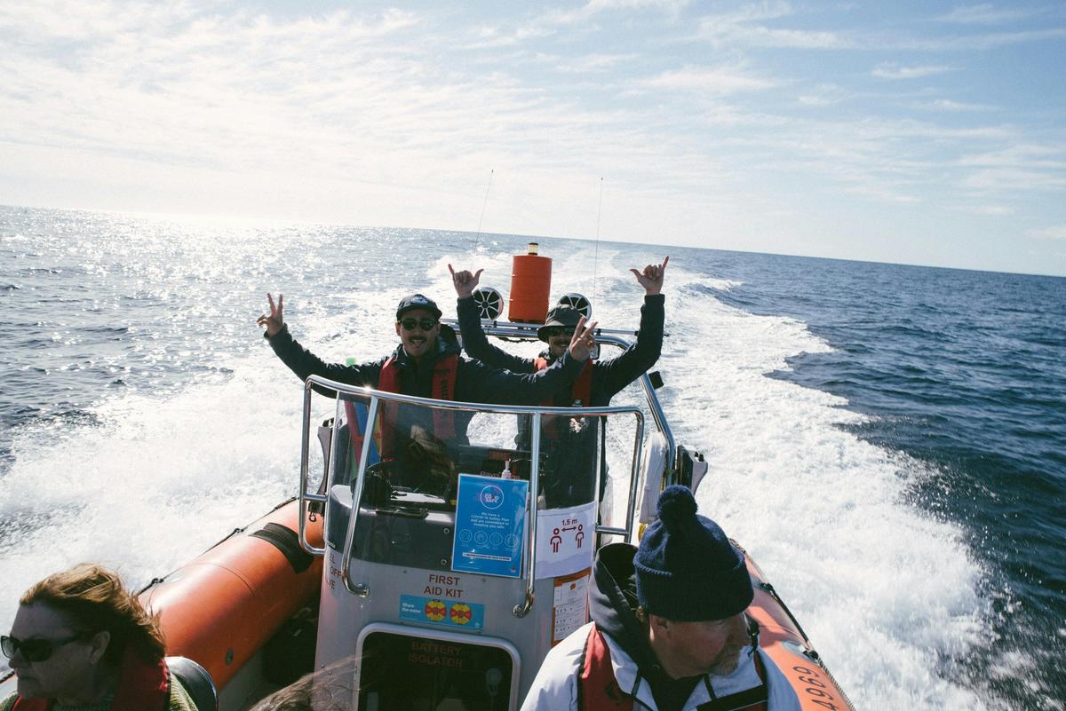 Whale Watching Gold Coast