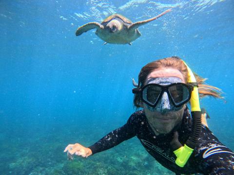 Swim with Turtles