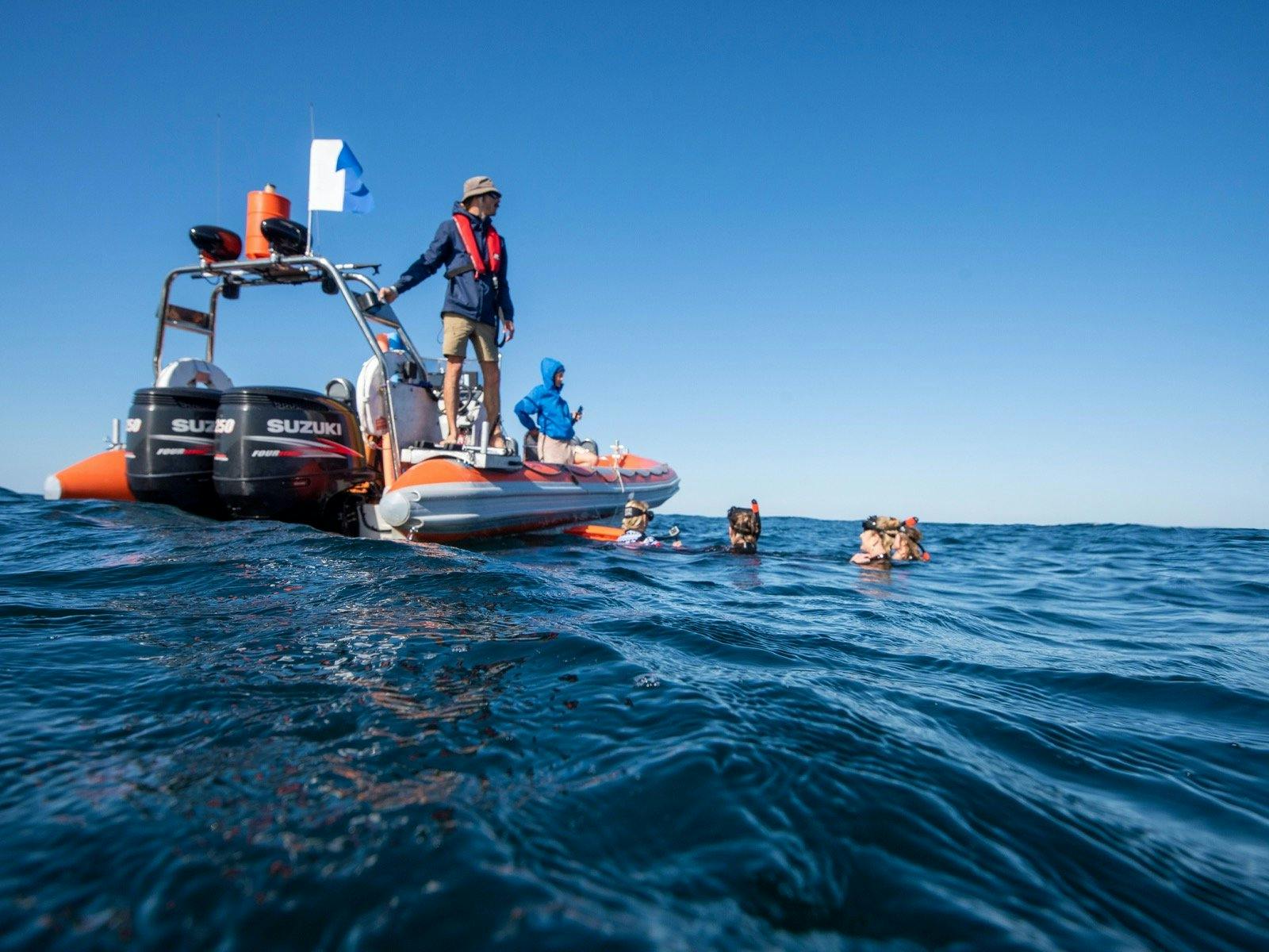 The Vessel - Natural Explorer