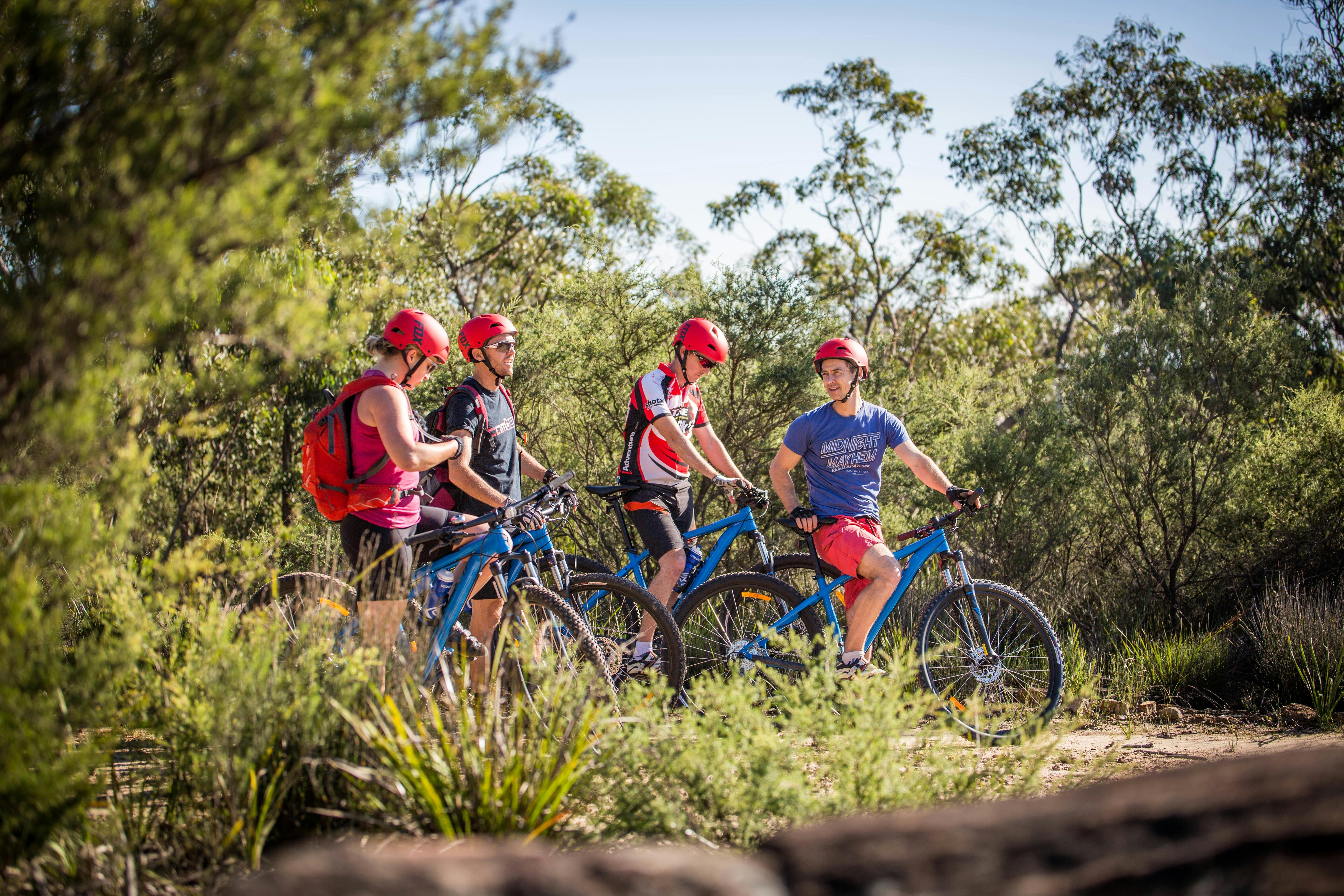 The oaks trail bike tour ebikes, blue mountains