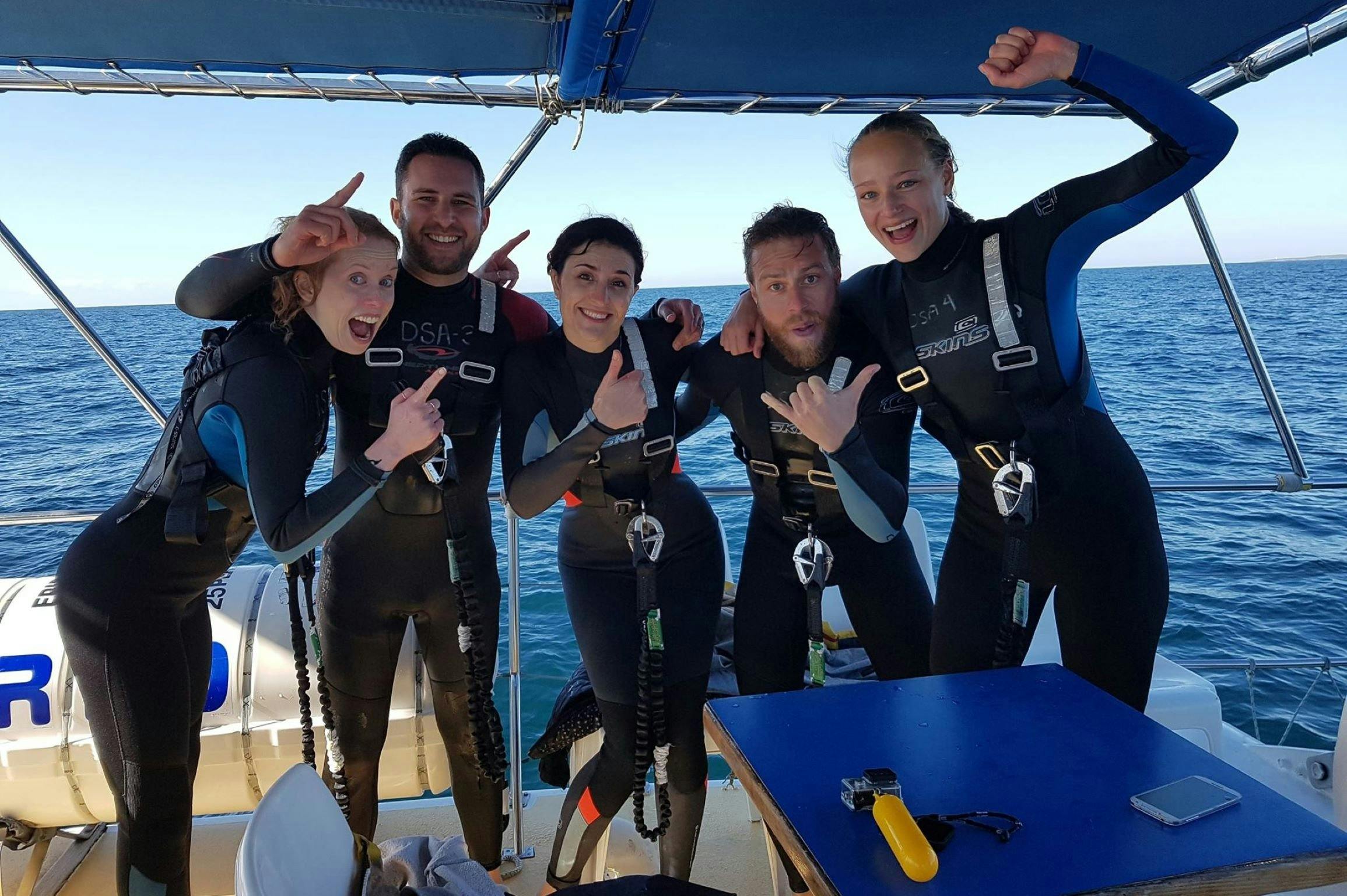 We just swam with wild dolphins!