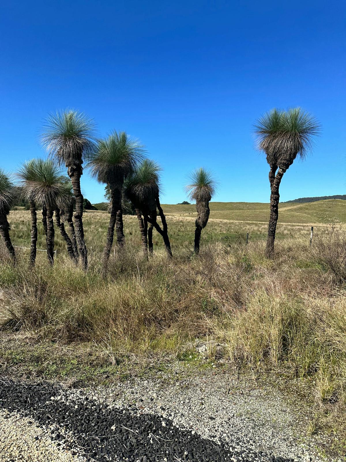 Lismore - casino rail trail
