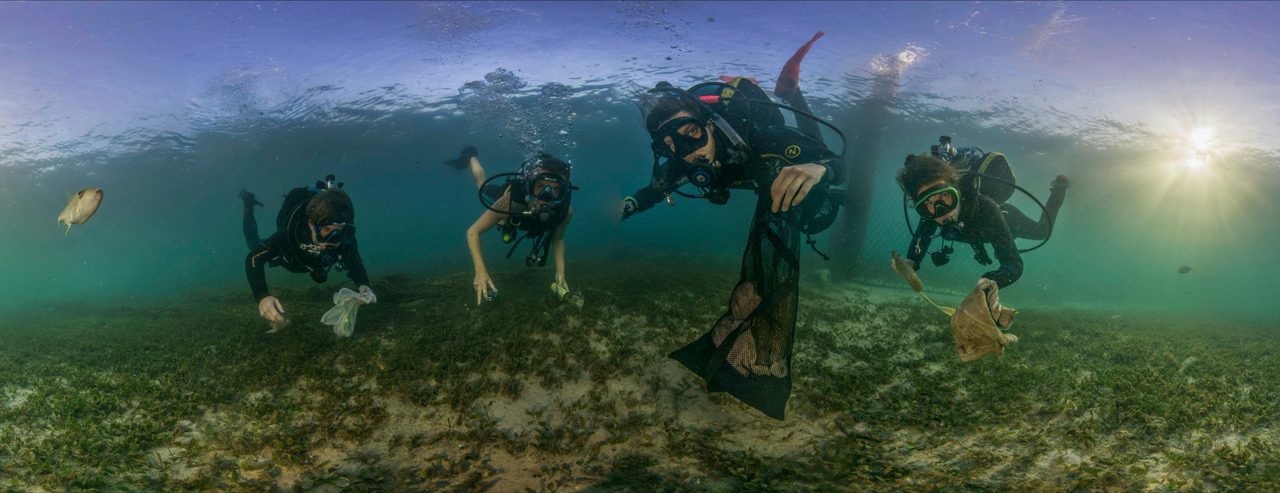 Underwater Clean Up