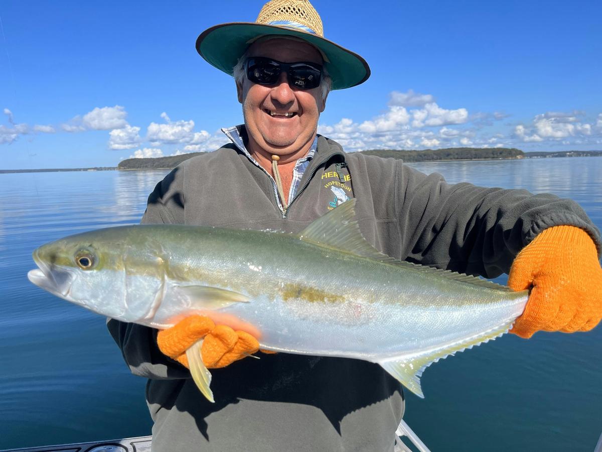 Kingfish