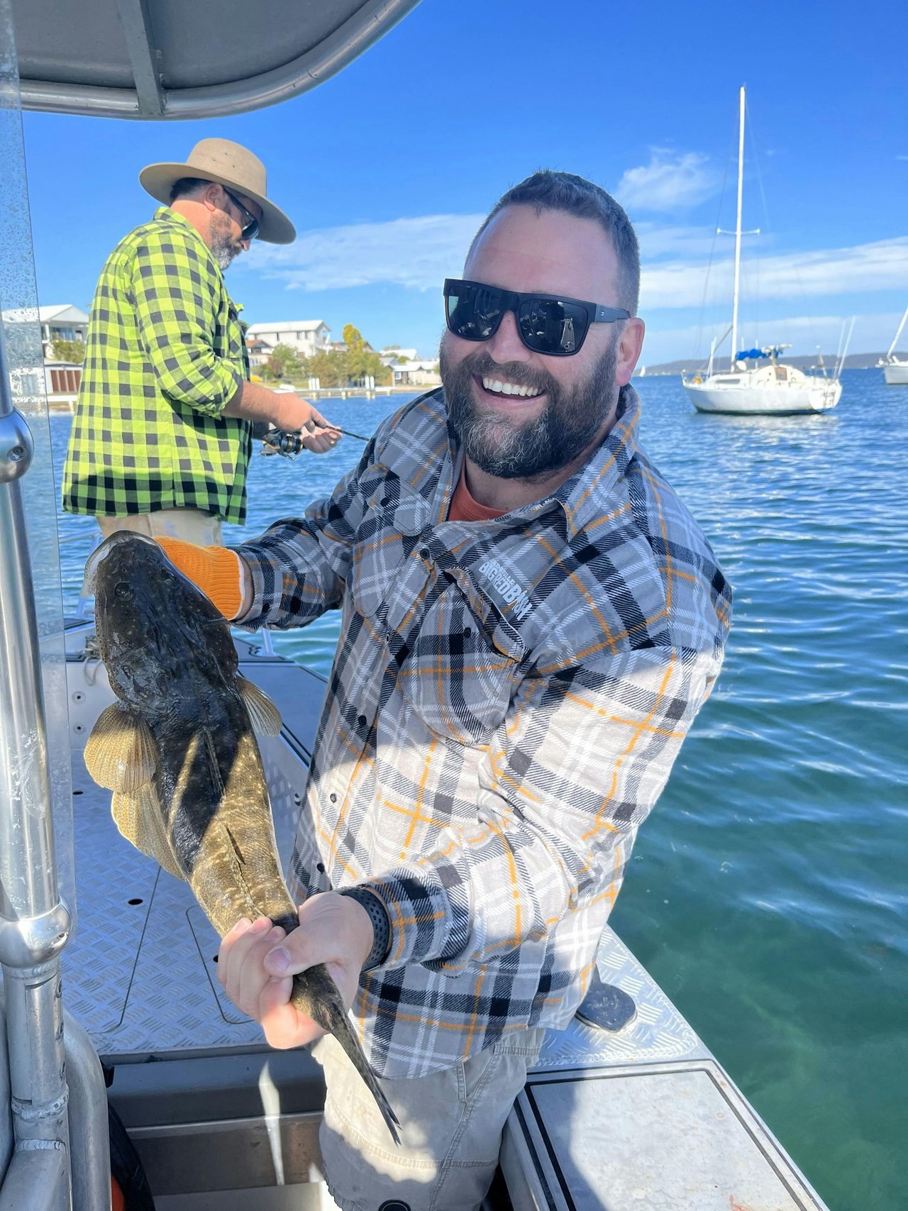 Flathead