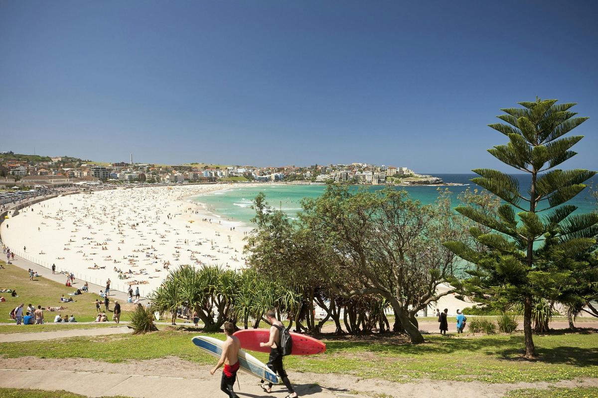 Surfers head to the water on a sunny day at Sydney’s famous Bondi Beach.