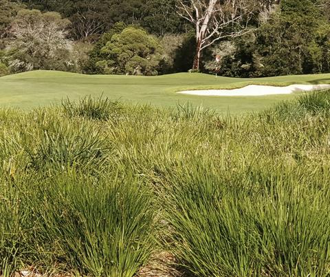Classic Capital Golf Tours Merimbula