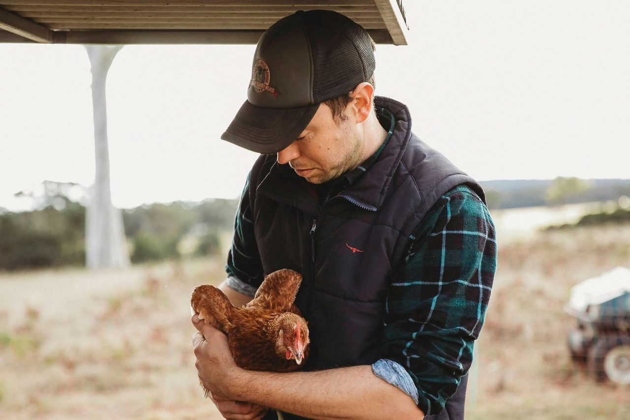 Our hens are pasture raised - always free to roam in the outdoors