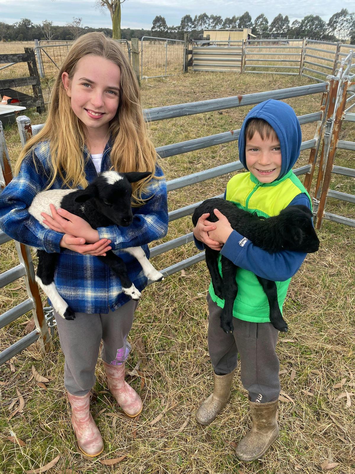 We have lots of baby animals for you to meet.