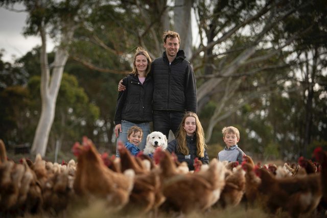 Farm Tours at Mussett Holdings Regenerative Farm