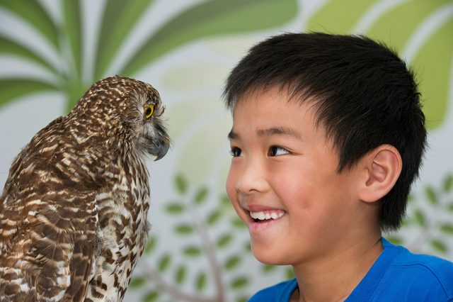 Birdlife Australia Discovery Centre Tours