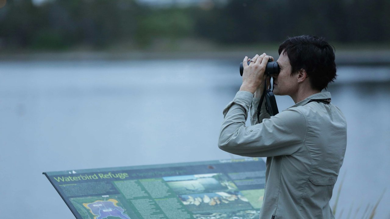 Birdwatching
