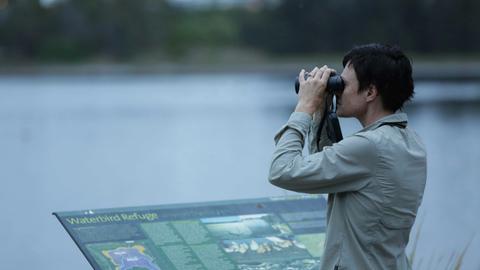 Bird Watching