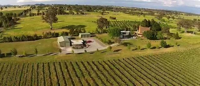 Dionysus Winery Experiences