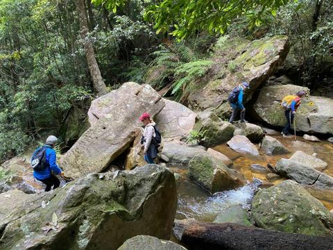 Blue Mountains Tracks and Retreats
