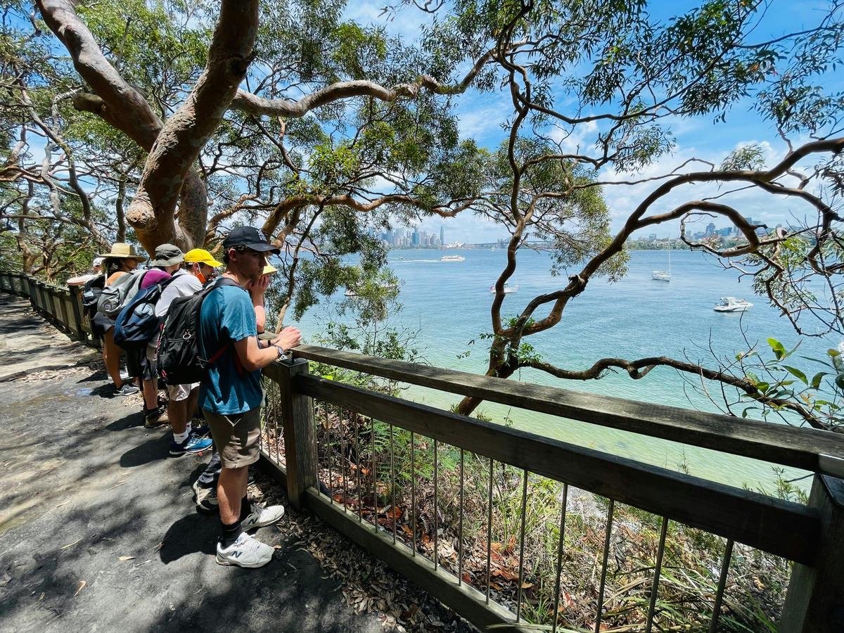 EcoWalks Tours