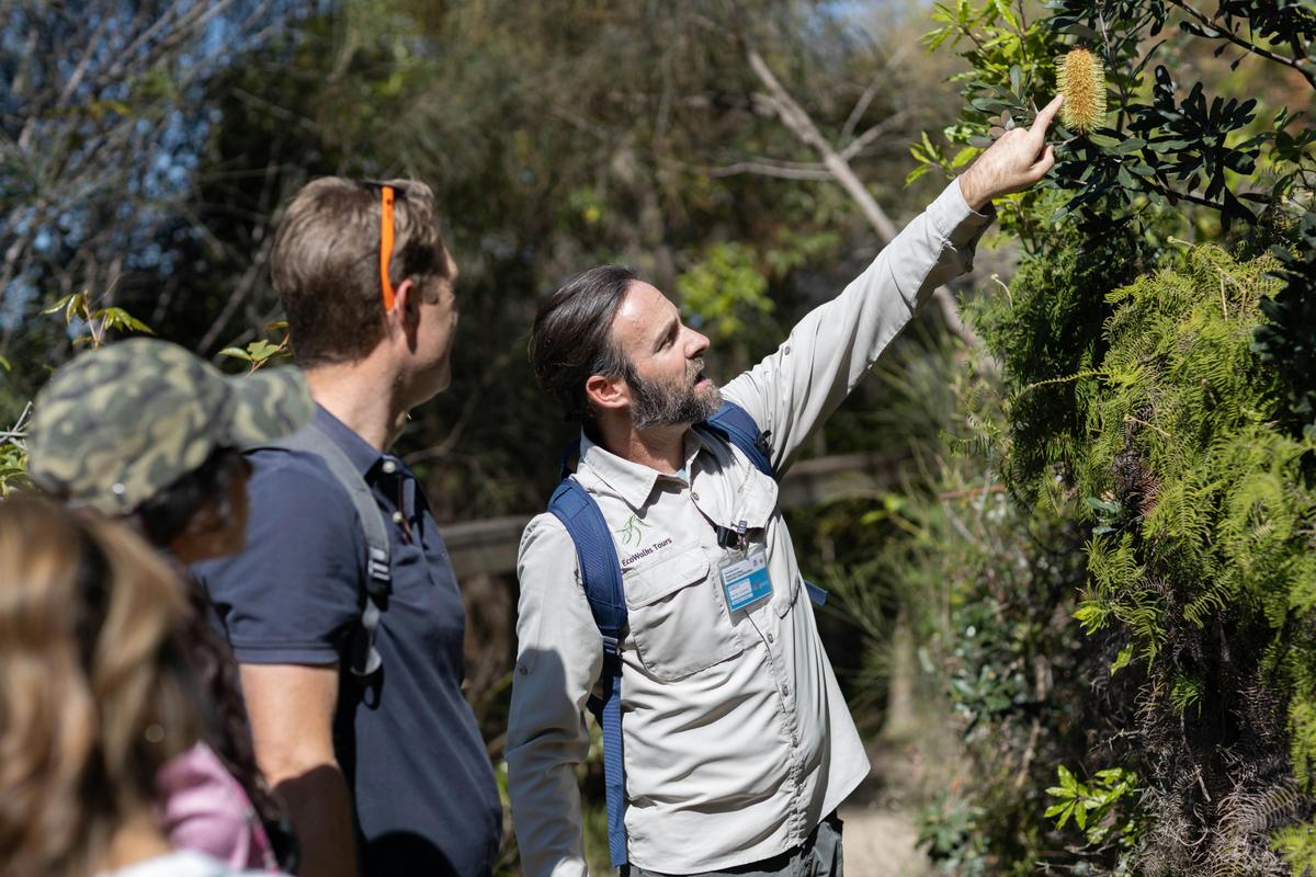 EcoWalks Tours