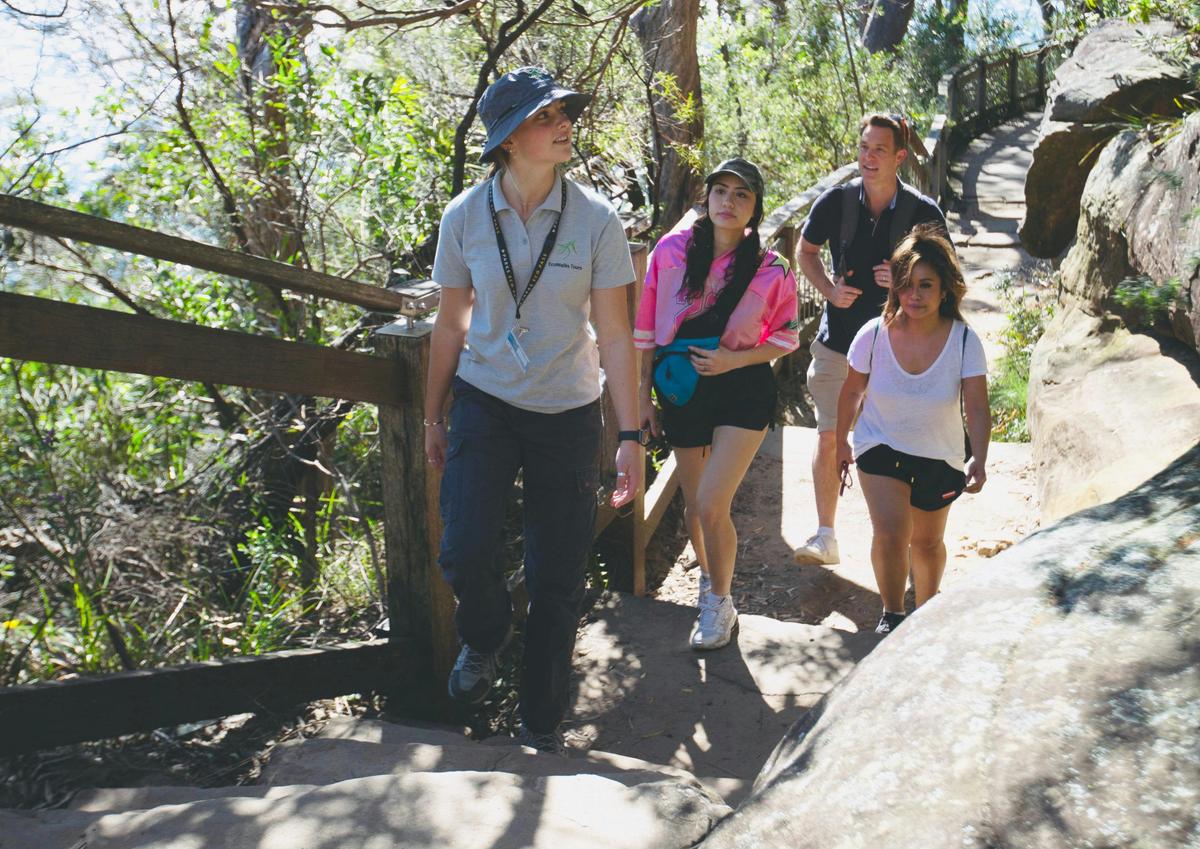 EcoWalks Tours