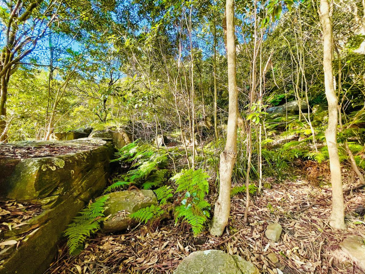 Curlew Camp in Mosman