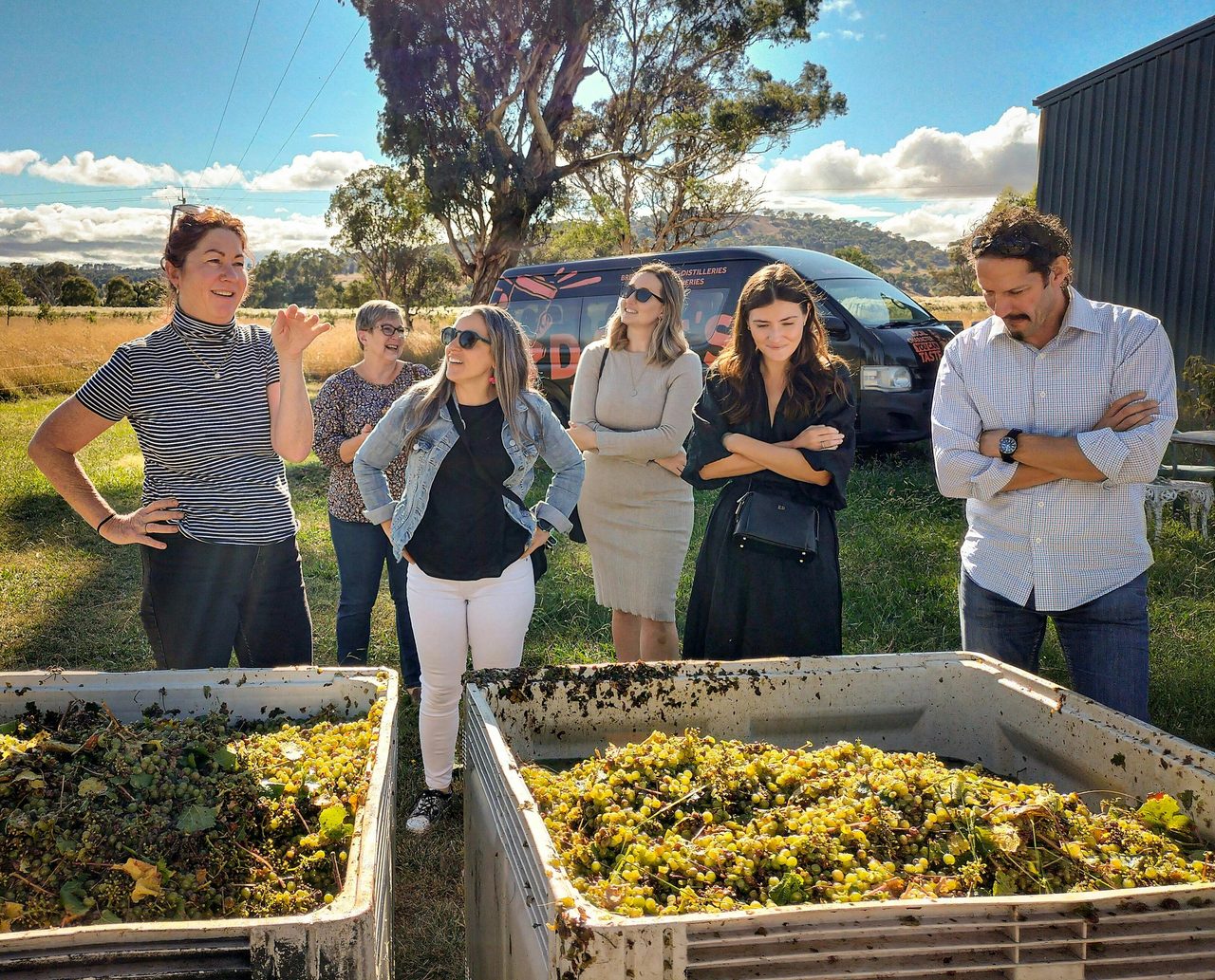 Not every tour is in the city, we are visiting small family run wineries everyday departing Sydney