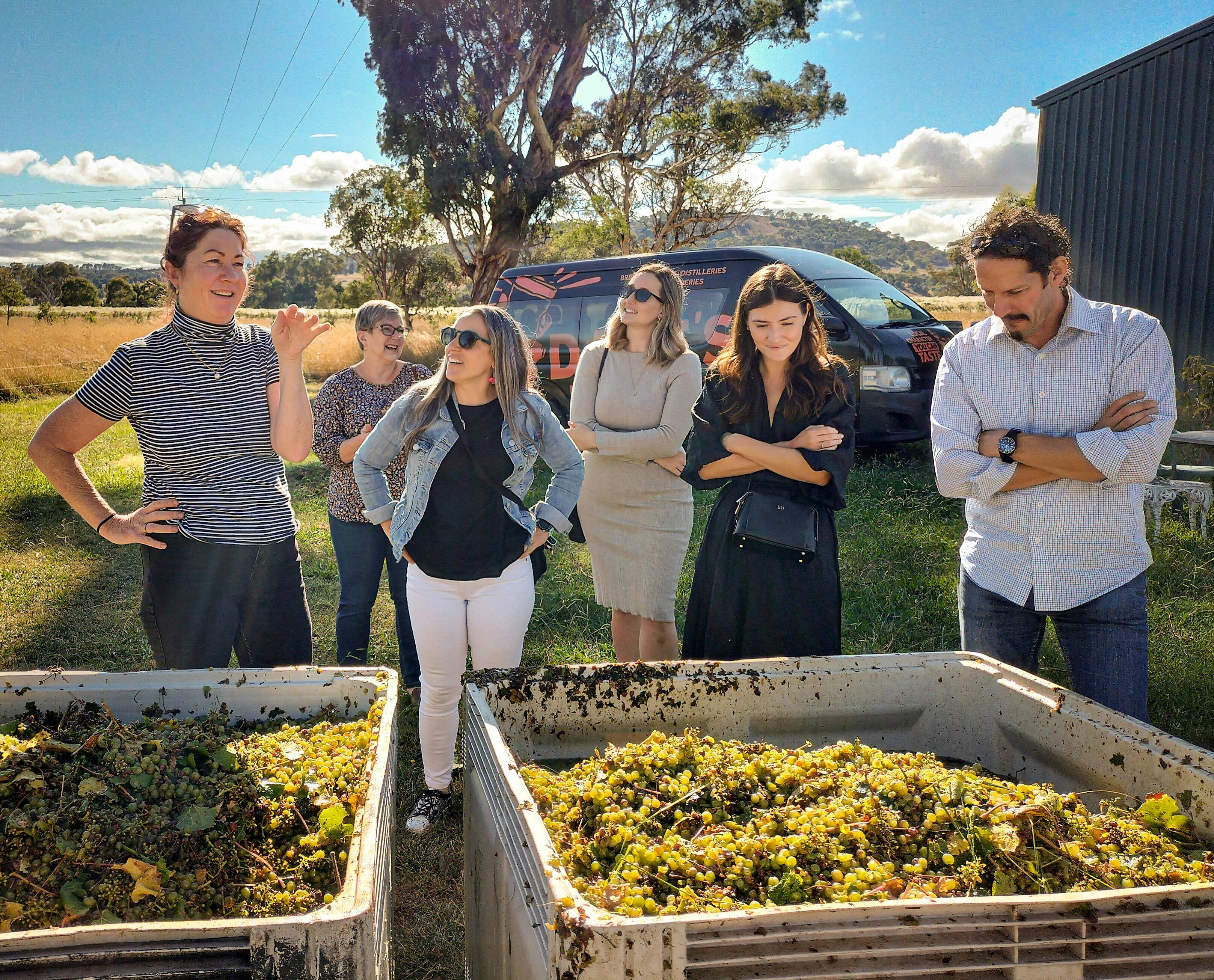 Not every tour is in the city, we are visiting small family run wineries everyday departing Sydney