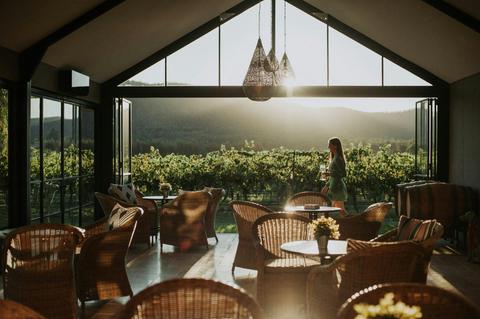 Curated Cellar Doors: Discover handpicked, lesser-known wineries with exclusive tasting experiences.