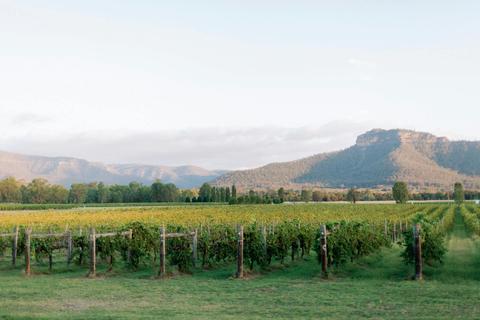 Discover the scenic beauty of the Hunter Valley on this boutique tasting tour