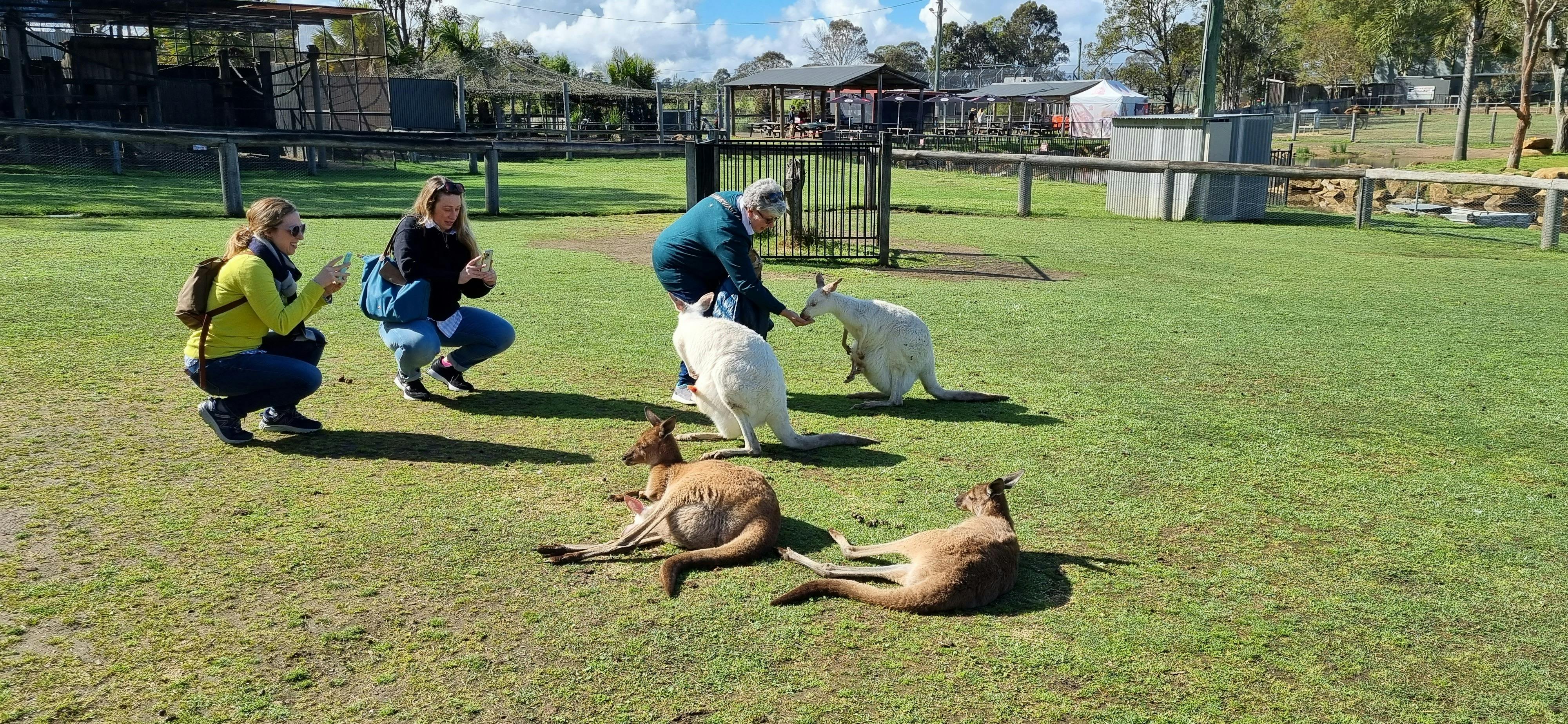 Best Blue Mountains tours