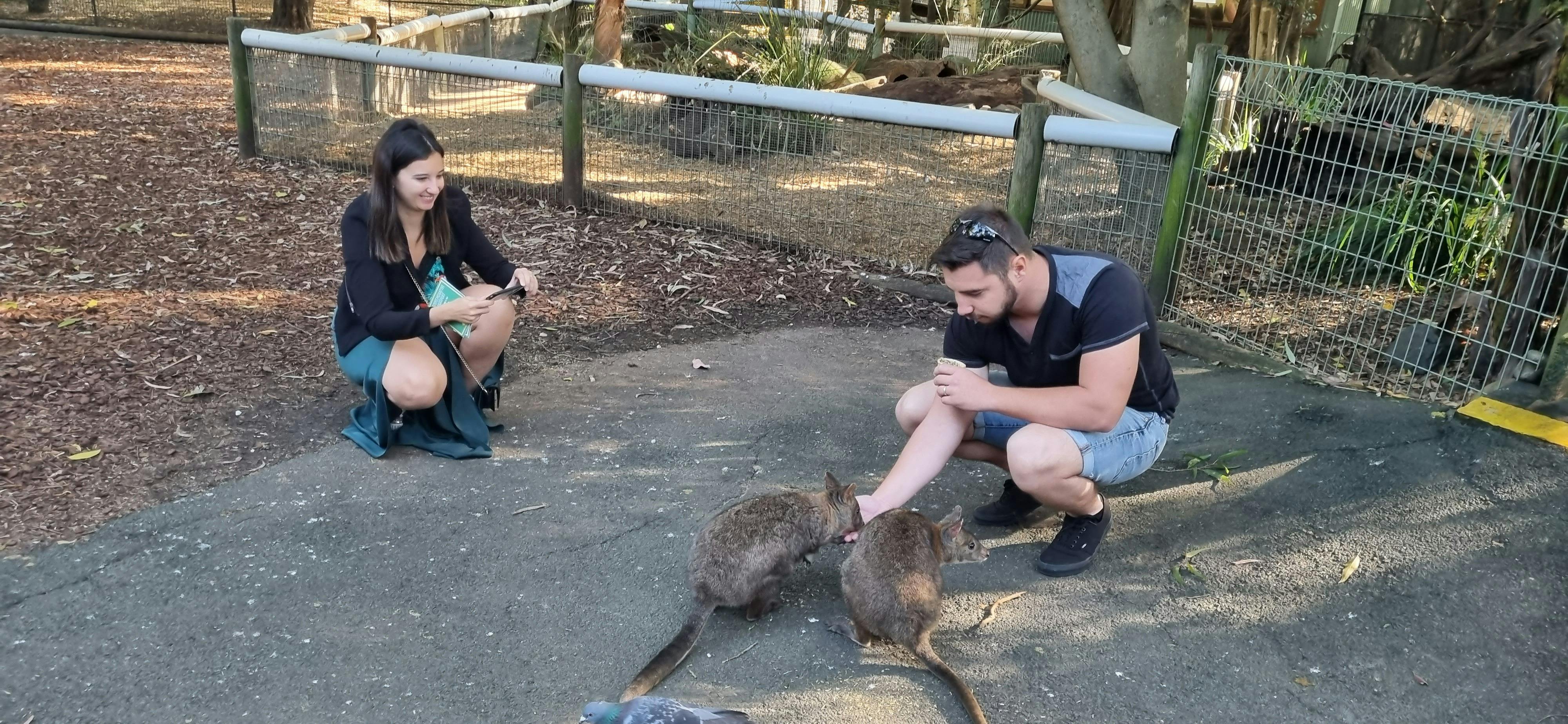 Blue Mountains Private Tours Sydney