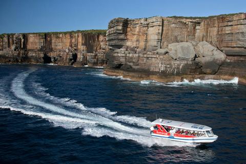 Seacliffs