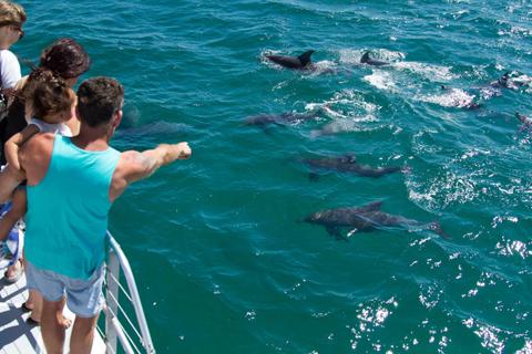 Dolphin Watch Cruises Jervis Bay