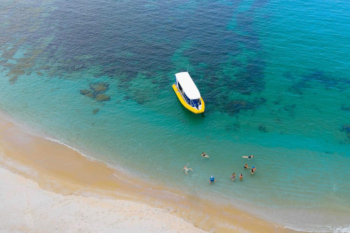 Jervis bay Sandy - Swim at a remote beach look for dolphins Stops
