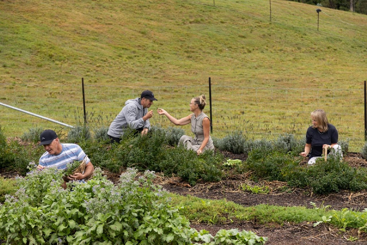 Saarinen Organics